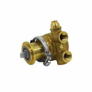 Fluid-o-Tech 黄铜旋片泵 PA0401ANCNN0037-9SP