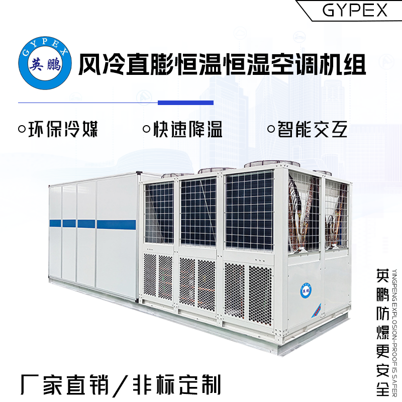 GYPEX英鹏工厂用风冷直膨恒温恒湿空调机组