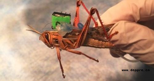 生物嗅覺傳感器