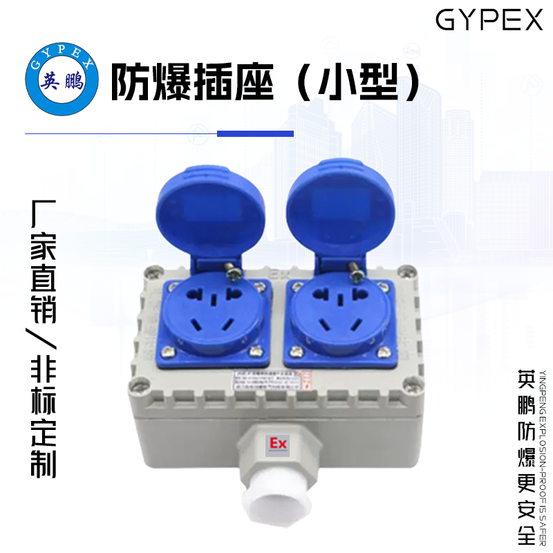 GYPEX英鹏防爆小型插座、2座10孔