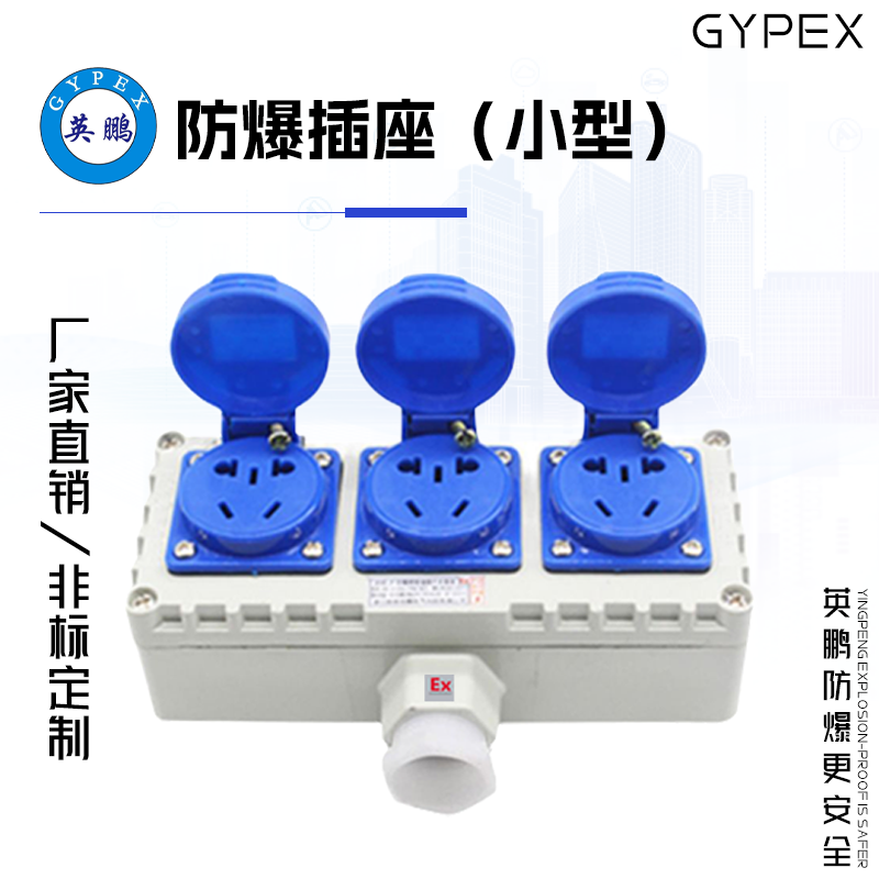 GYPEX英鹏防爆小型插座、3座15孔