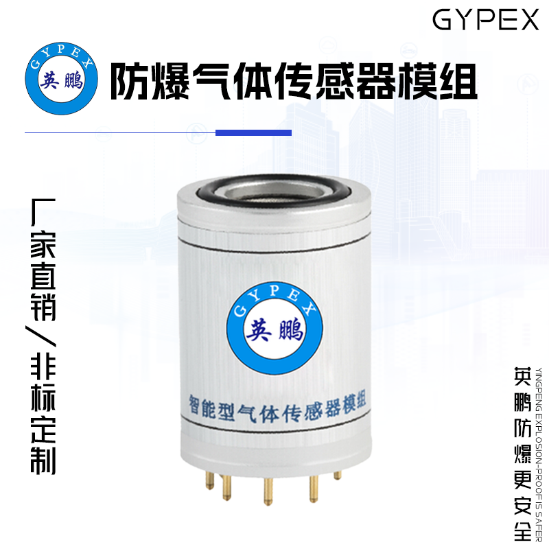 GYPEX GYPEX英鹏防爆气体传感器模组 EXBZ-100S/400A