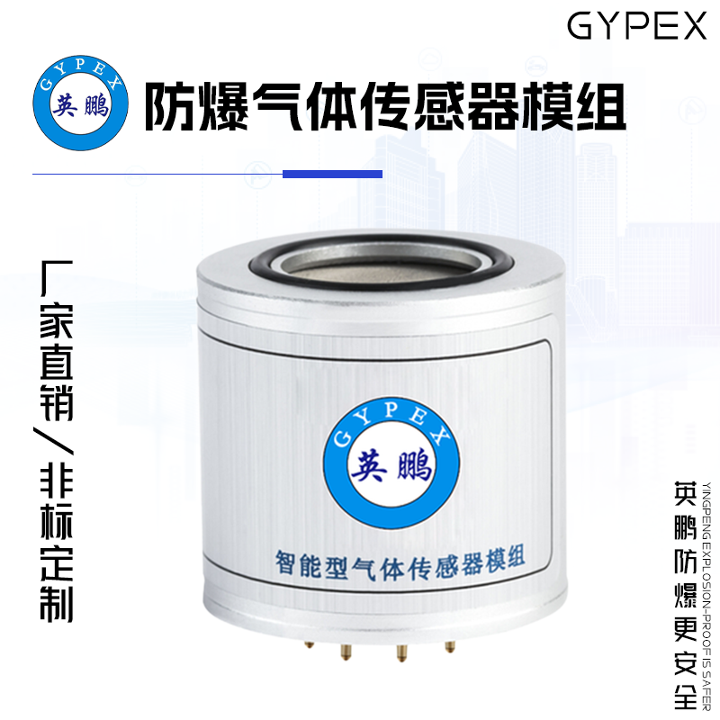 GYPEX GYPEX英鹏防爆气体传感器模组 EXBZ-100S/700A
