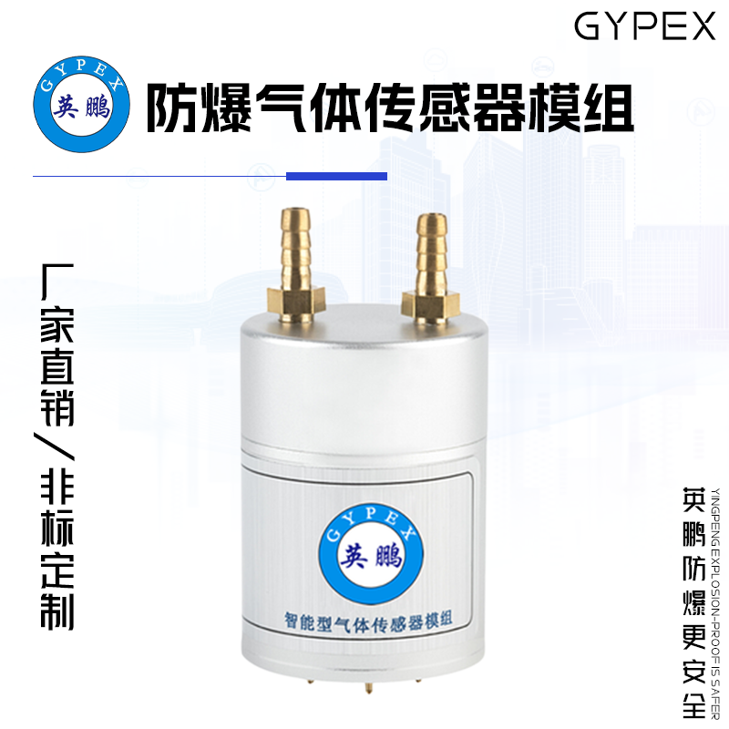 GYPEX GYPEX英鹏防爆气体传感器模组 EXBZ-100S/700C