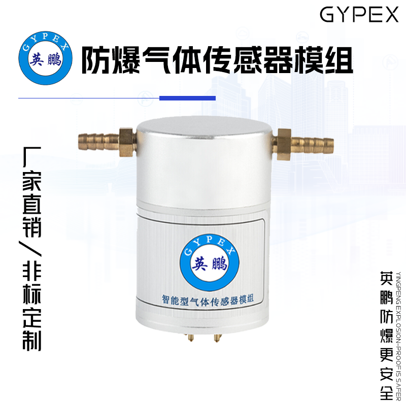 GYPEX GYPEX英鹏防爆气体传感器模组 EXBZ-100S/700D