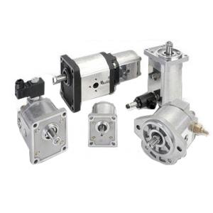 CASAPPA齿轮液压泵 PLP10.6，3 DO-81E1-LGD/GD-N-EL-FS