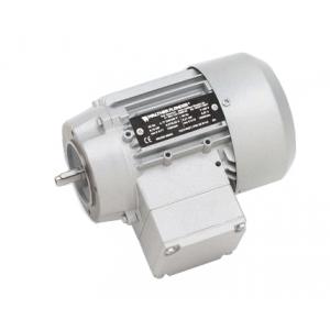 Walther Flender三相交流电机 B1463B-1500 L00908
