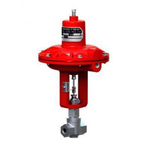 Badger Meter控制阀 1002-GC-N-36-SV-OS-DEP-36  现货供应