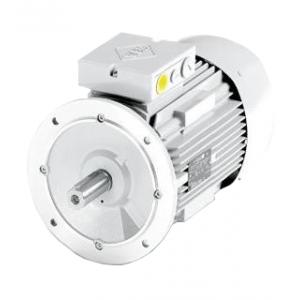 电机 IE2-WE1R 160M 4 TPM HW