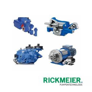 RICKMEIER齿轮泵 R65/315 FL Z