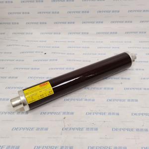 SIBA高压熔断器3002443.63