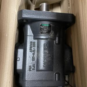 RICKMEIERR65/315 FL Z 475026 齿轮泵