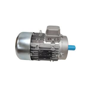 NERI MOTORIHE3 100BLA4 三相电机