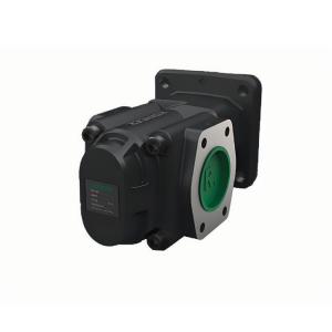 RICKMEIERR36/40 FL-K-WD-SAE1/2-L 齿轮泵