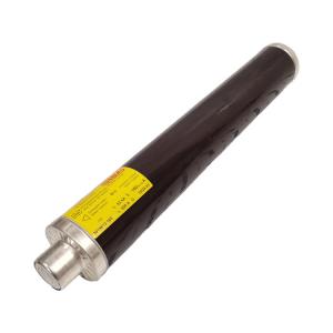 SIBA3019613.160 高压熔断器