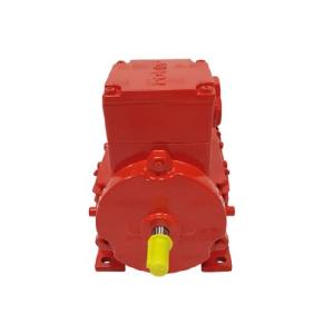 ROTORRRT-2512/#9287537-001-001 工业电机