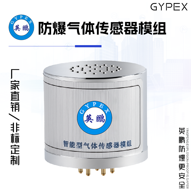 GYPEX英鹏防爆气体传感器模组 EXBZ-100S/700B