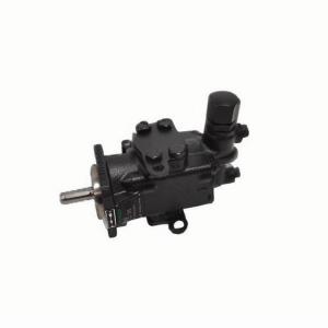 RICKMEIER R25/20 FL-M-G1-R-SO 齿轮泵