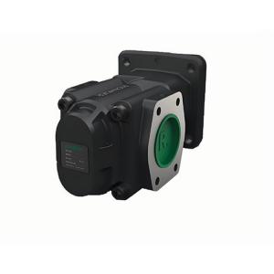 R36/80 FL-Z-WD-SAE2-R 齿轮泵