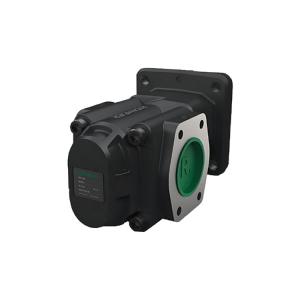 R36/80 FL-K-W-SAE2-R 齿轮泵