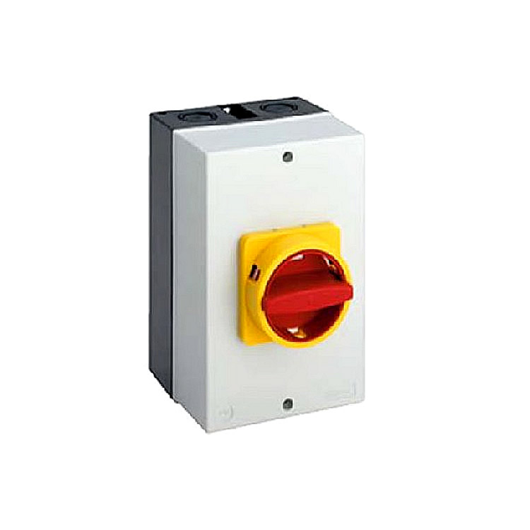 SalzerH220-41300-700N4 凸轮开关