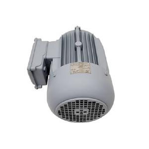 100L/4AT 三相异步电动机