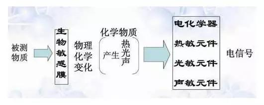 生物传感器