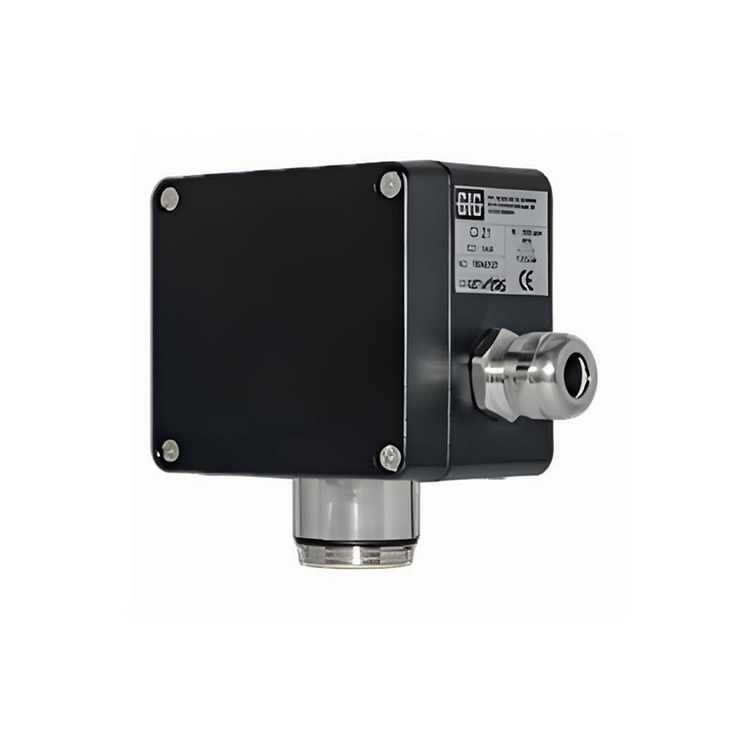 1763603427682014.jpg GFG_CS21_001A.jpg